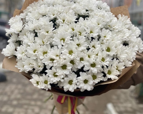 Букет 118. White Chrysanthemum