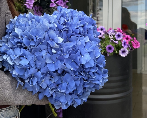 Букет №1644