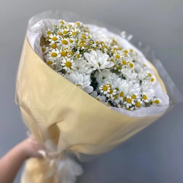 Букет «Ромашки»