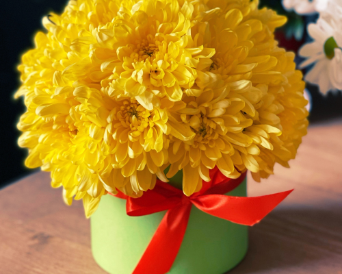 Бокс 25 из желтых хризантем